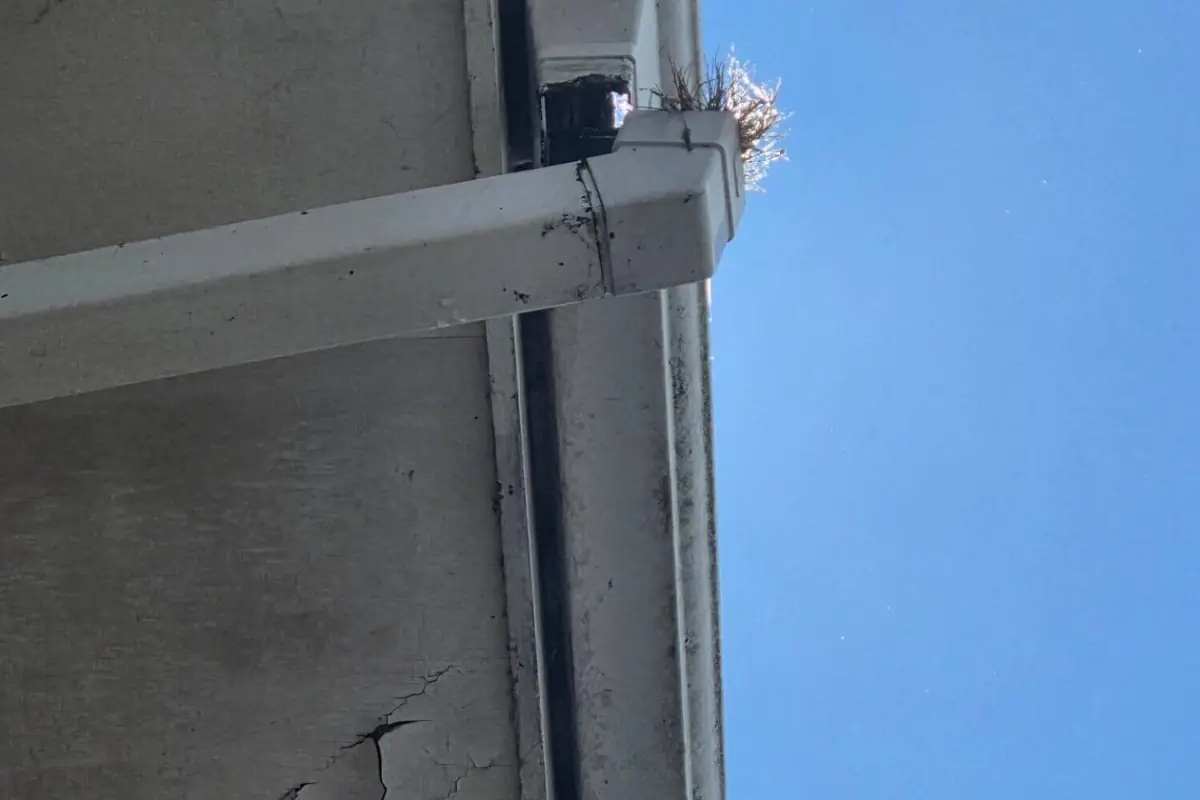 Where Your Downspouts Send Water Matters More Than You Think