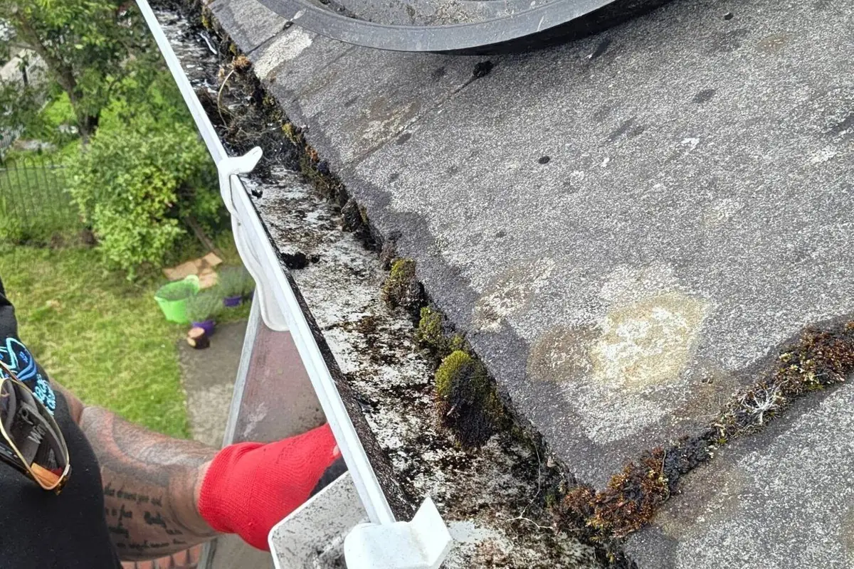 Gutter Cleaning detail
