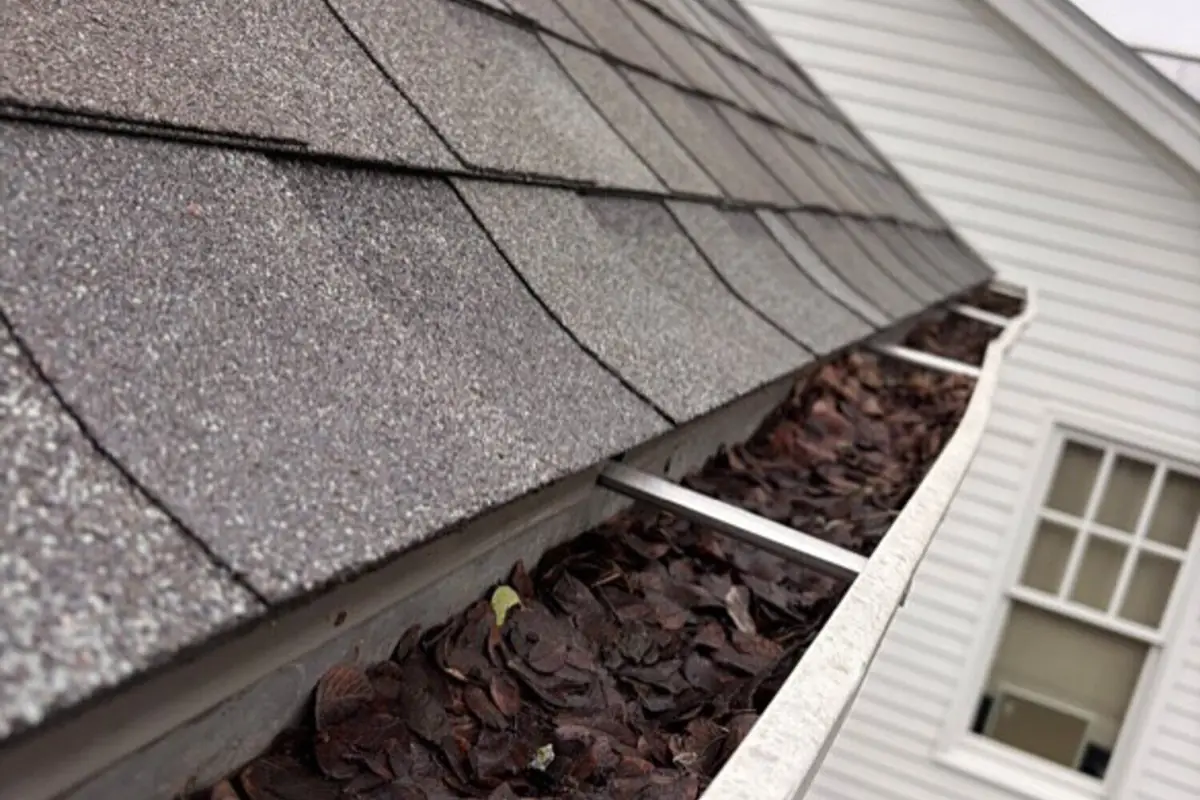 How Often Should You Clean Gutters in Salem, Oregon?