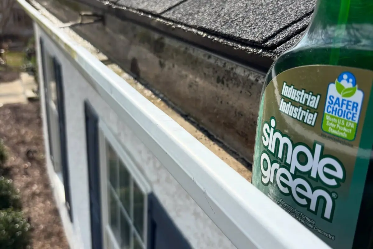 Seasonal Gutter Clean-Out in Monmouth, Oregon &mdash; photo 2