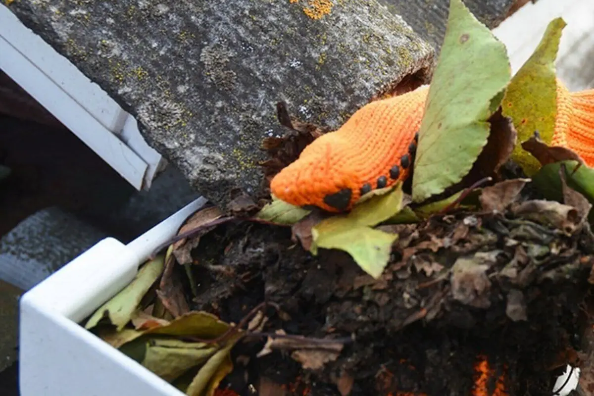 Downspout Repair and Gutter Clean-Out in Woodburn, Oregon &mdash; photo 2